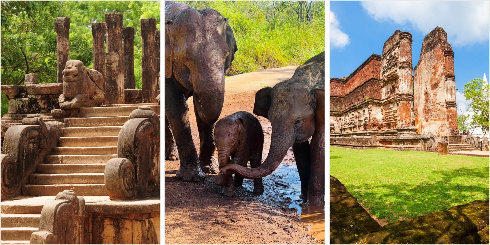 Polonnaruwa Ancient City & Safari