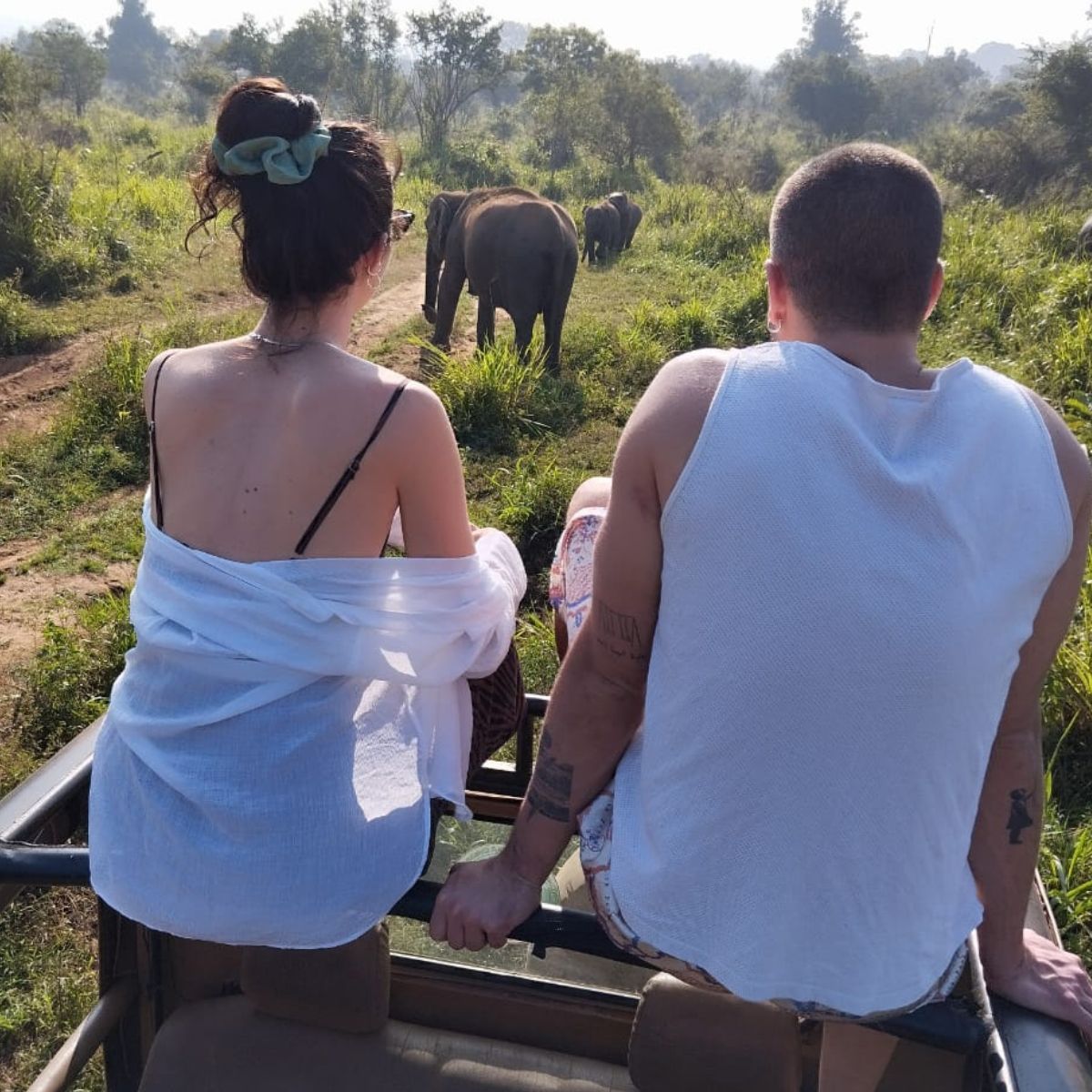 Elephant