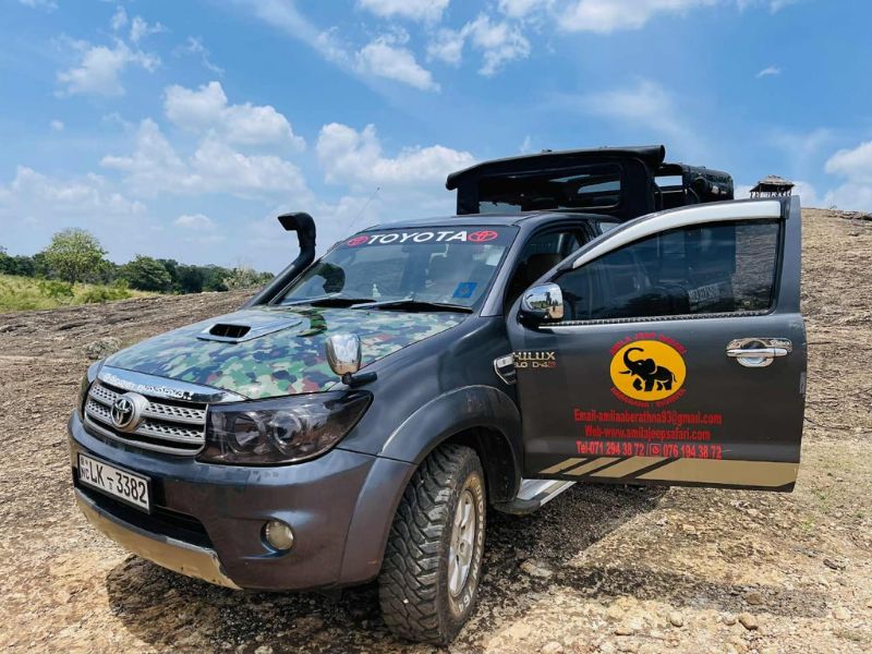 Luxury Safari SUV