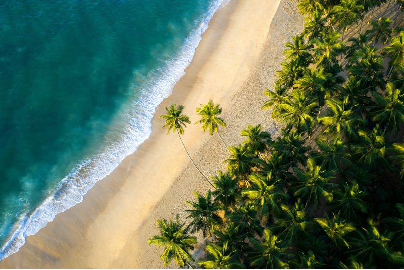 Tropical Beaches